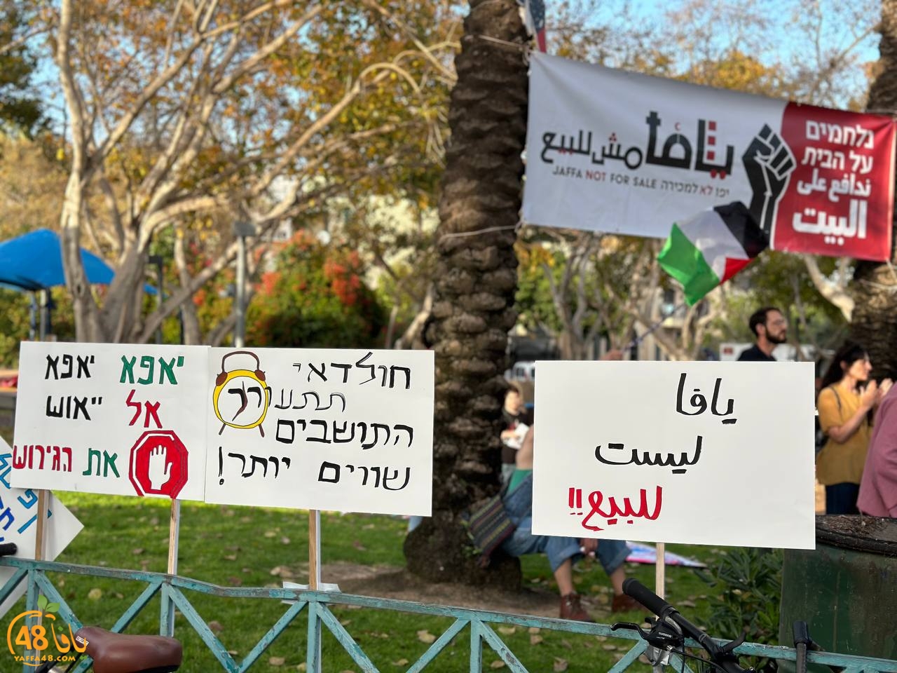 msg5376033352-1238 (1).jpg